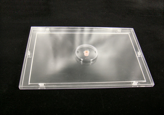 3D打印--半透明樹脂材料