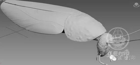 3D打印蟑螂小強(qiáng)誕生記(超精細(xì)) 妹紙膽小也可入
3D打印蟑螂,3D打印小強(qiáng),3D打印技術(shù),3D打印服務(wù),3D打印平臺,e鍵打印