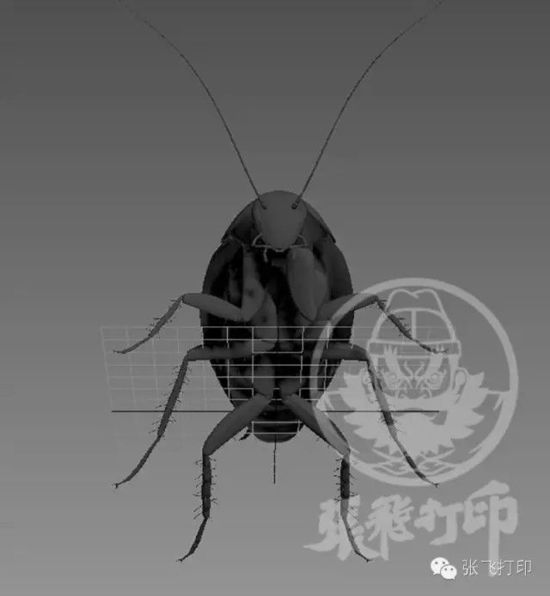 3D打印蟑螂小強(qiáng)誕生記(超精細(xì)) 妹紙膽小也可入
3D打印蟑螂,3D打印小強(qiáng),3D打印技術(shù),3D打印服務(wù),3D打印平臺,e鍵打印