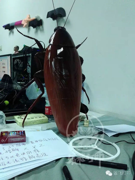 3D打印蟑螂小強(qiáng)誕生記(超精細(xì)) 妹紙膽小也可入
3D打印蟑螂,3D打印小強(qiáng),3D打印技術(shù),3D打印服務(wù),3D打印平臺,e鍵打印