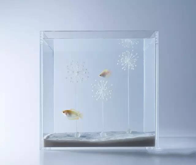 精美3d打印創(chuàng)意作品圖片欣賞 你見(jiàn)過(guò)3D打印的魚(yú)缸么?