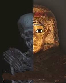 3D打印技術(shù)助歷史學(xué)家剖析木乃伊"結(jié)構(gòu)"_e鍵打印服務(wù)平臺 3D打印技術(shù)助歷史學(xué)家剖析木乃伊"結(jié)構(gòu)"_e鍵打印服務(wù)平臺