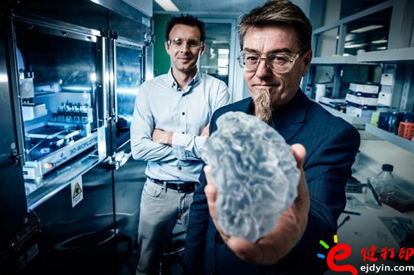 生物3d打印,生物3d打印技術,生物3d打印技術,生物3d打印材料,生物3d打印發展,3D打印心臟,3D打印服務