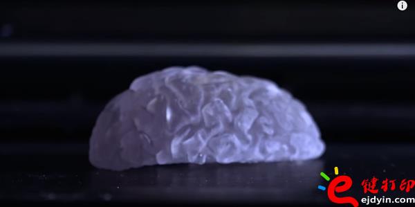 生物3d打印,生物3d打印技術,生物3d打印技術,生物3d打印材料,生物3d打印發展,3D打印心臟,3D打印服務