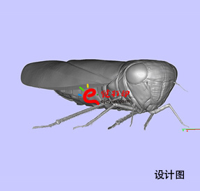 3D打印生物標本3